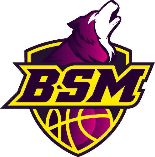 BSM basket Saint Macaire